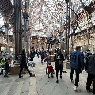 Natural History Museum